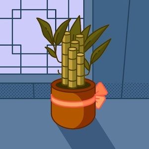 Meet your Posher, Derek